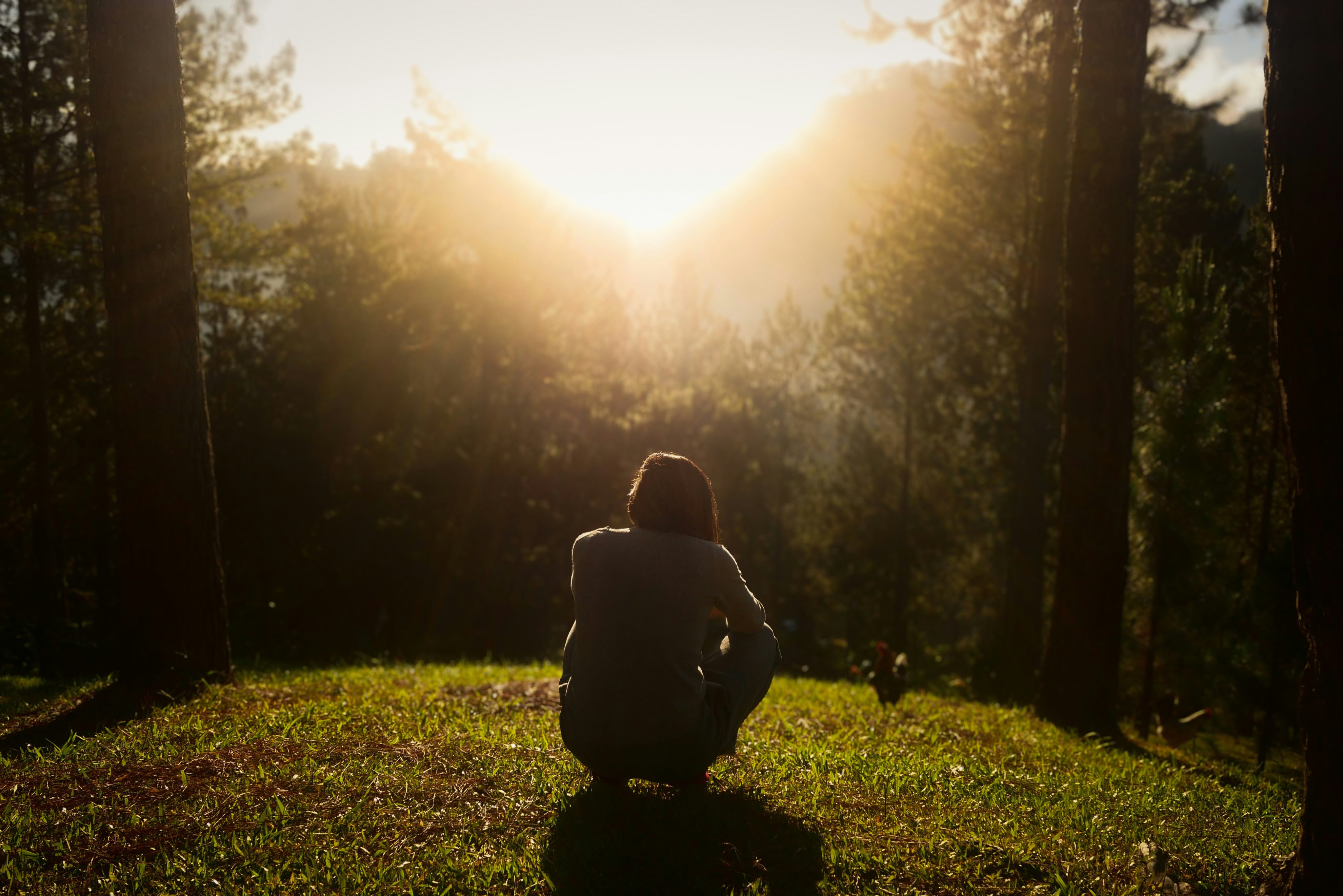 Mindfulness Sensible al Trauma